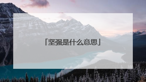 坚强是什么意思