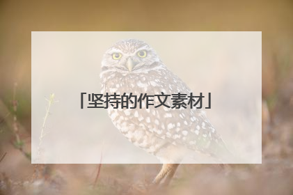 坚持的作文素材