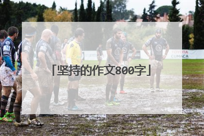 坚持的作文800字