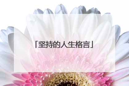 坚持的人生格言