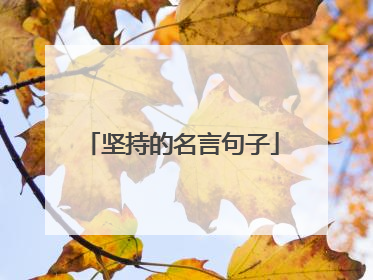 坚持的名言句子
