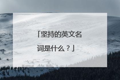 坚持的英文名词是什么?