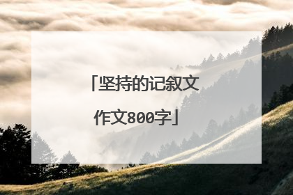 坚持的记叙文作文800字