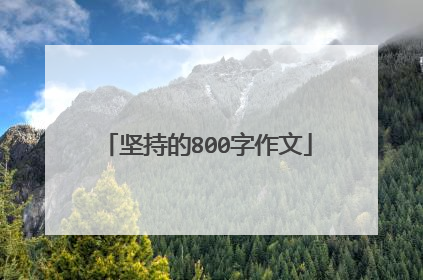 坚持的800字作文