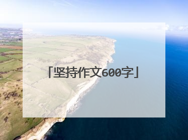 坚持作文600字