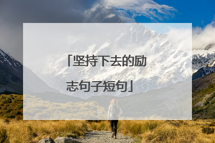 坚持下去的励志句子短句