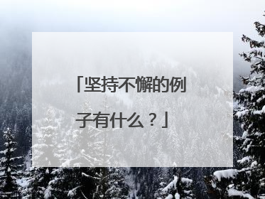 坚持不懈的例子有什么？