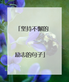 坚持不懈的励志的句子
