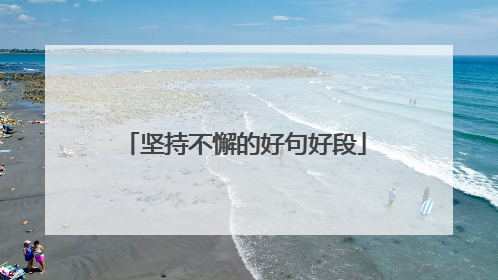 坚持不懈的好句好段