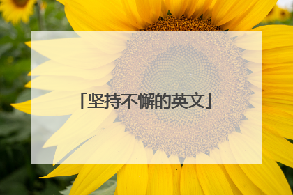 坚持不懈的英文