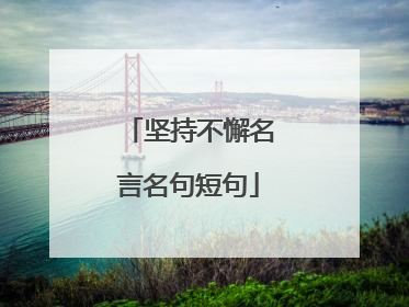 坚持不懈名言名句短句