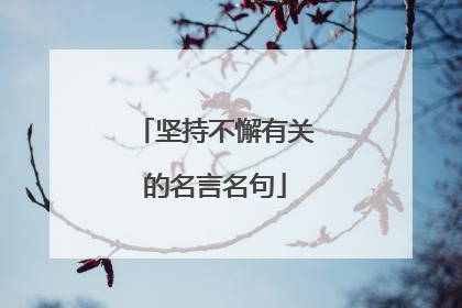 坚持不懈有关的名言名句