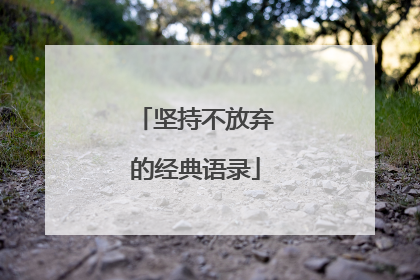 坚持不放弃的经典语录
