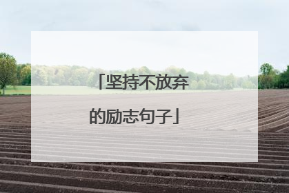 坚持不放弃的励志句子