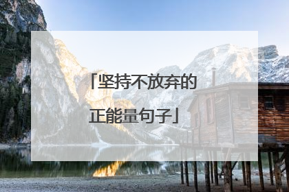 坚持不放弃的正能量句子