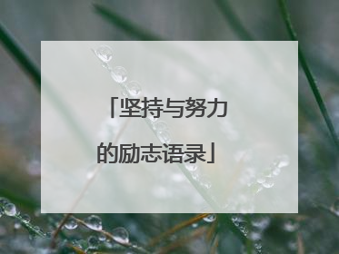 坚持与努力的励志语录