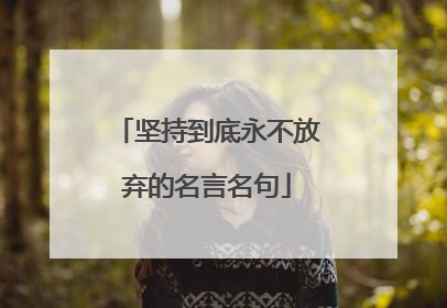 坚持到底永不放弃的名言名句