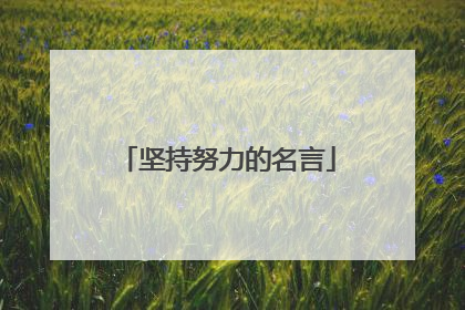 坚持努力的名言