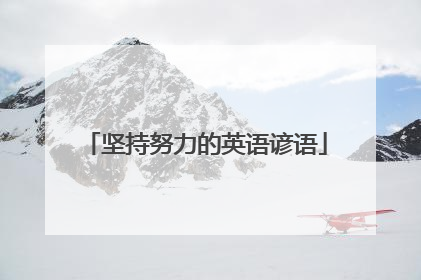 坚持努力的英语谚语