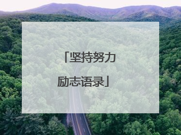 坚持努力励志语录