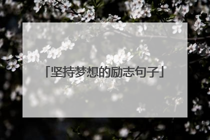 坚持梦想的励志句子