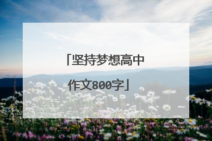 坚持梦想高中作文800字