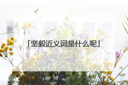 坚毅近义词是什么呢