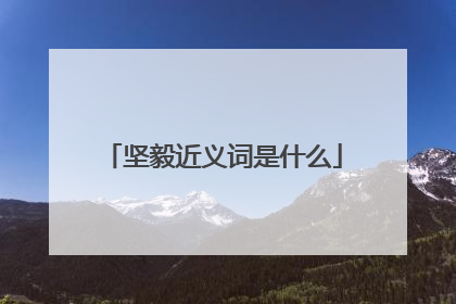 坚毅近义词是什么