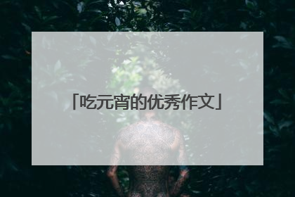 吃元宵的优秀作文