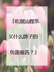吃潮汕粿条买什么牌子的鱼露蘸酱？
