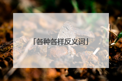 各种各样反义词