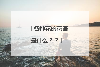 各种花的花语是什么？？