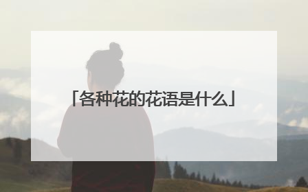各种花的花语是什么