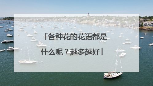 各种花的花语都是什么呢？越多越好