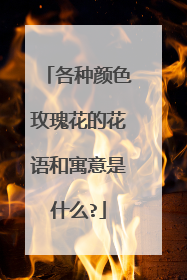 各种颜色玫瑰花的花语和寓意是什么?