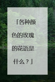 各种颜色的玫瑰的花语是什么？