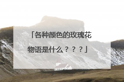 各种颜色的玫瑰花物语是什么???