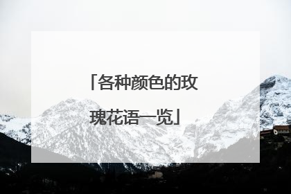 各种颜色的玫瑰花语一览
