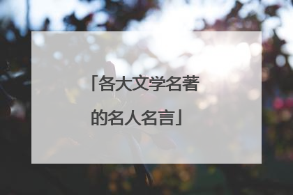 各大文学名著的名人名言