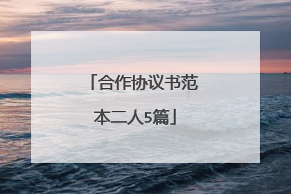合作协议书范本二人5篇