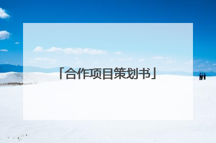 合作项目策划书