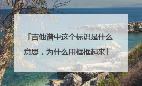 吉他谱中这个标识是什么意思,为什么用框框起来