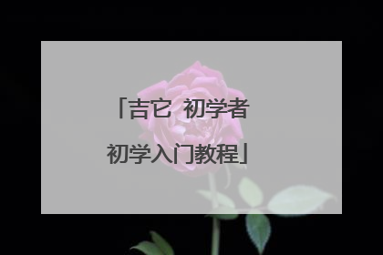 吉它 初学者 初学入门教程