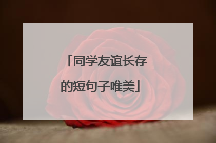 同学友谊长存的短句子唯美
