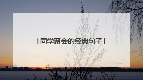 同学聚会的经典句子