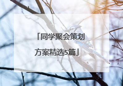 同学聚会策划方案精选5篇