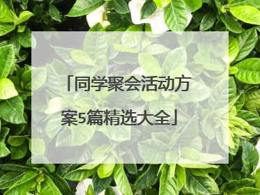 同学聚会活动方案5篇精选大全
