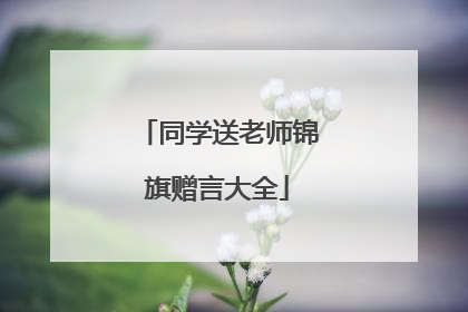 同学送老师锦旗赠言大全