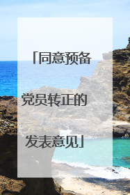 同意预备党员转正的发表意见