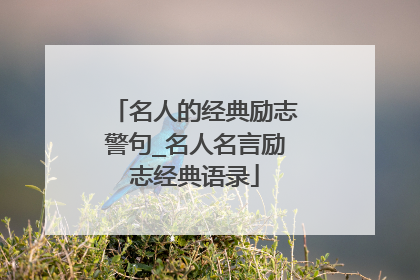 名人的经典励志警句_名人名言励志经典语录